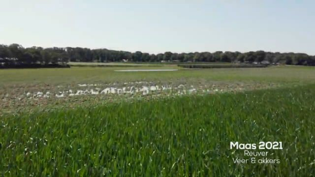 2021 Hoogwater in Reuver, Veer & Akkkers (Bram vd Wiel)