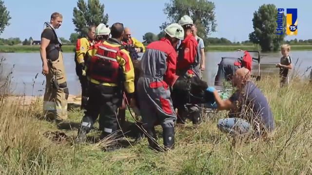 2021 Koe door de Brandweer gered uit het water