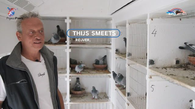 2025 Interview Thijs Smeets Postduivenhouder
